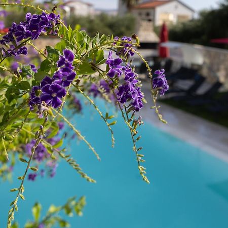 Villa Aqua Zaboric Exterior foto