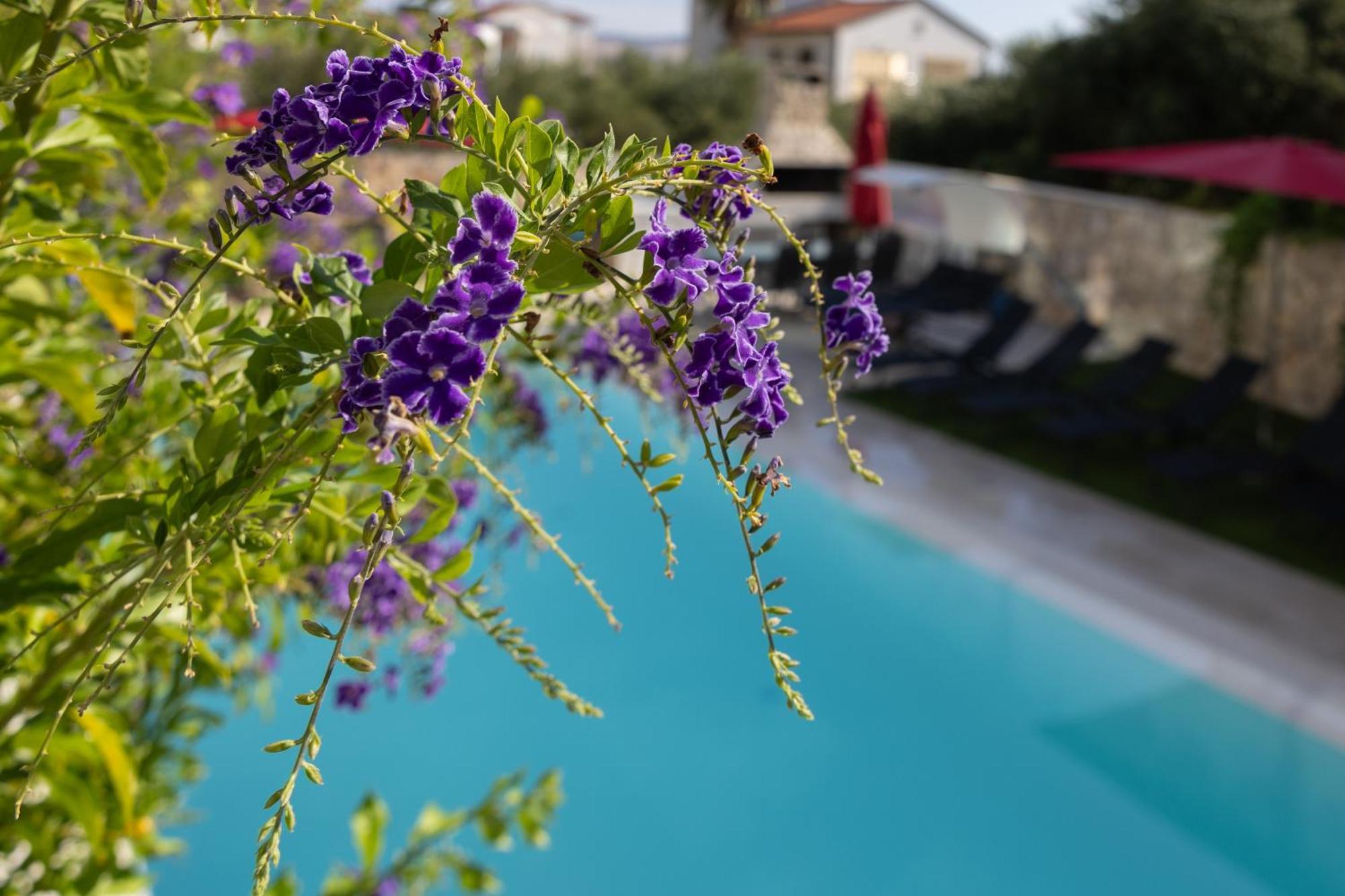 Villa Aqua Zaboric Exterior foto